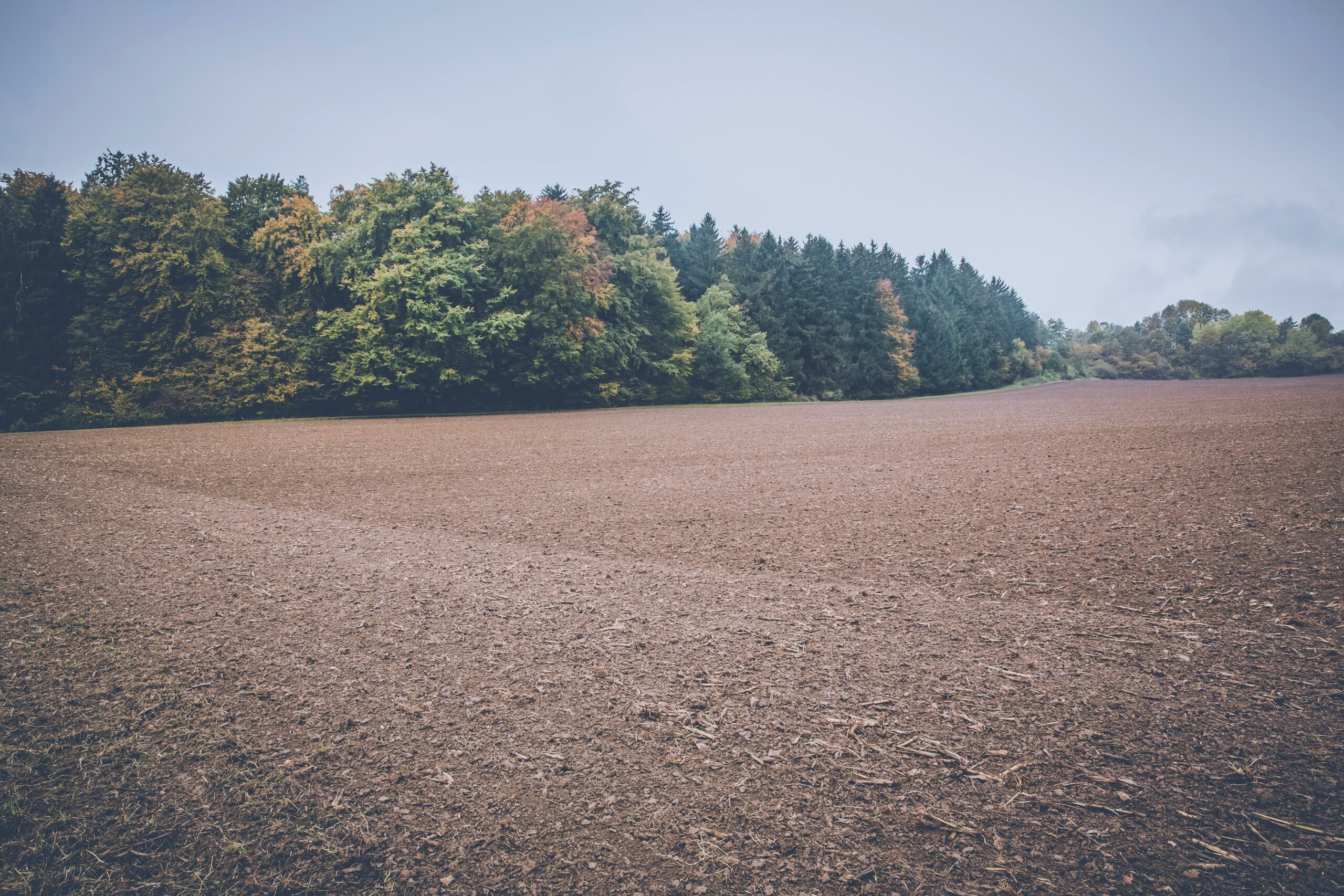 Kostenloses Stock Foto zu acker, ackerland, außerorts