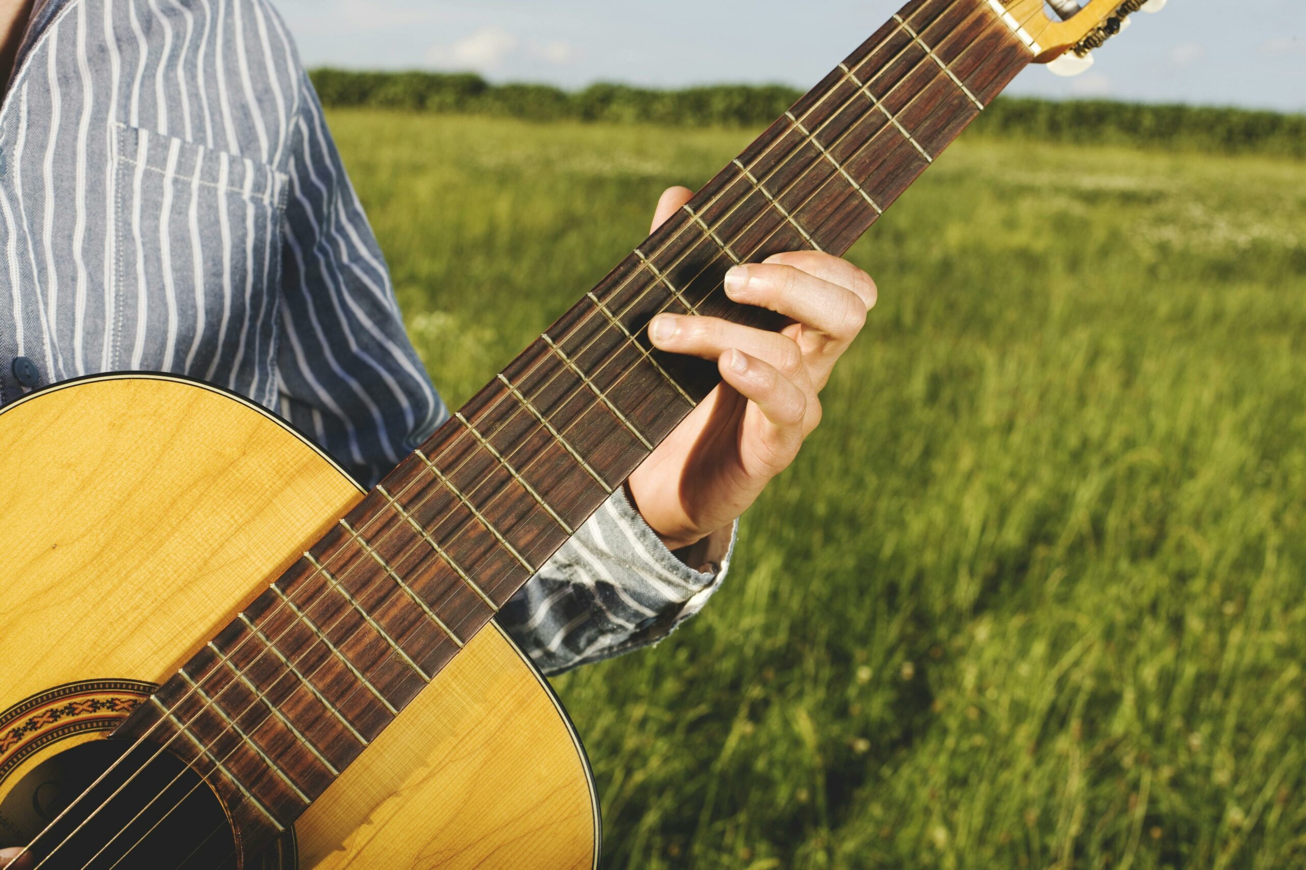 Person, Die Gitarre Im Grasfeld Spielt