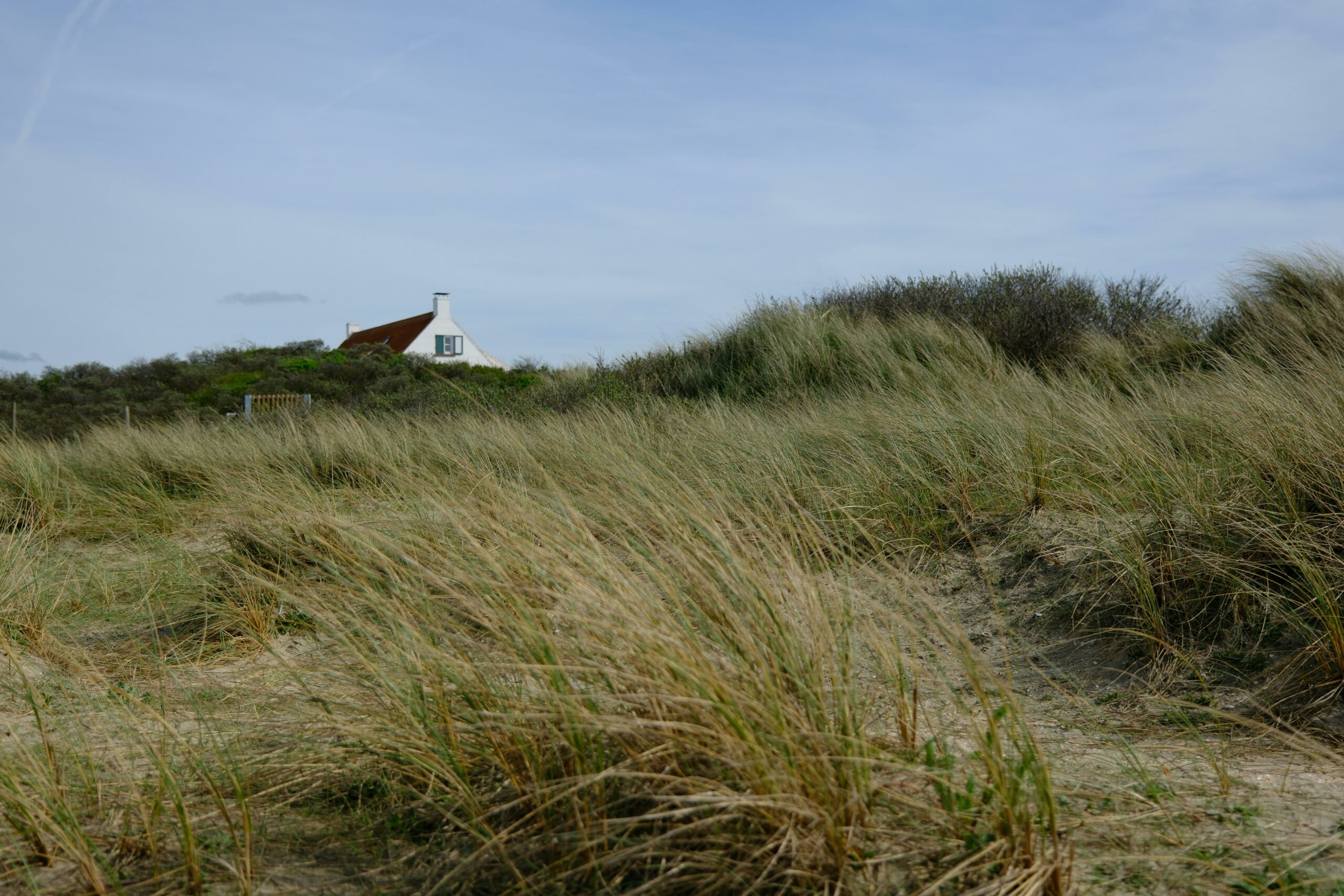 Kostenloses Stock Foto zu außerorts, düne, grasfläche