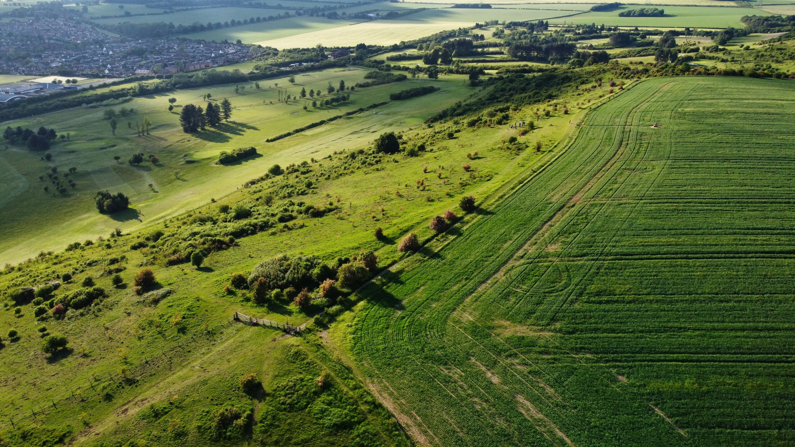 Kostenloses Stock Foto zu ackerland, außerorts, draußen