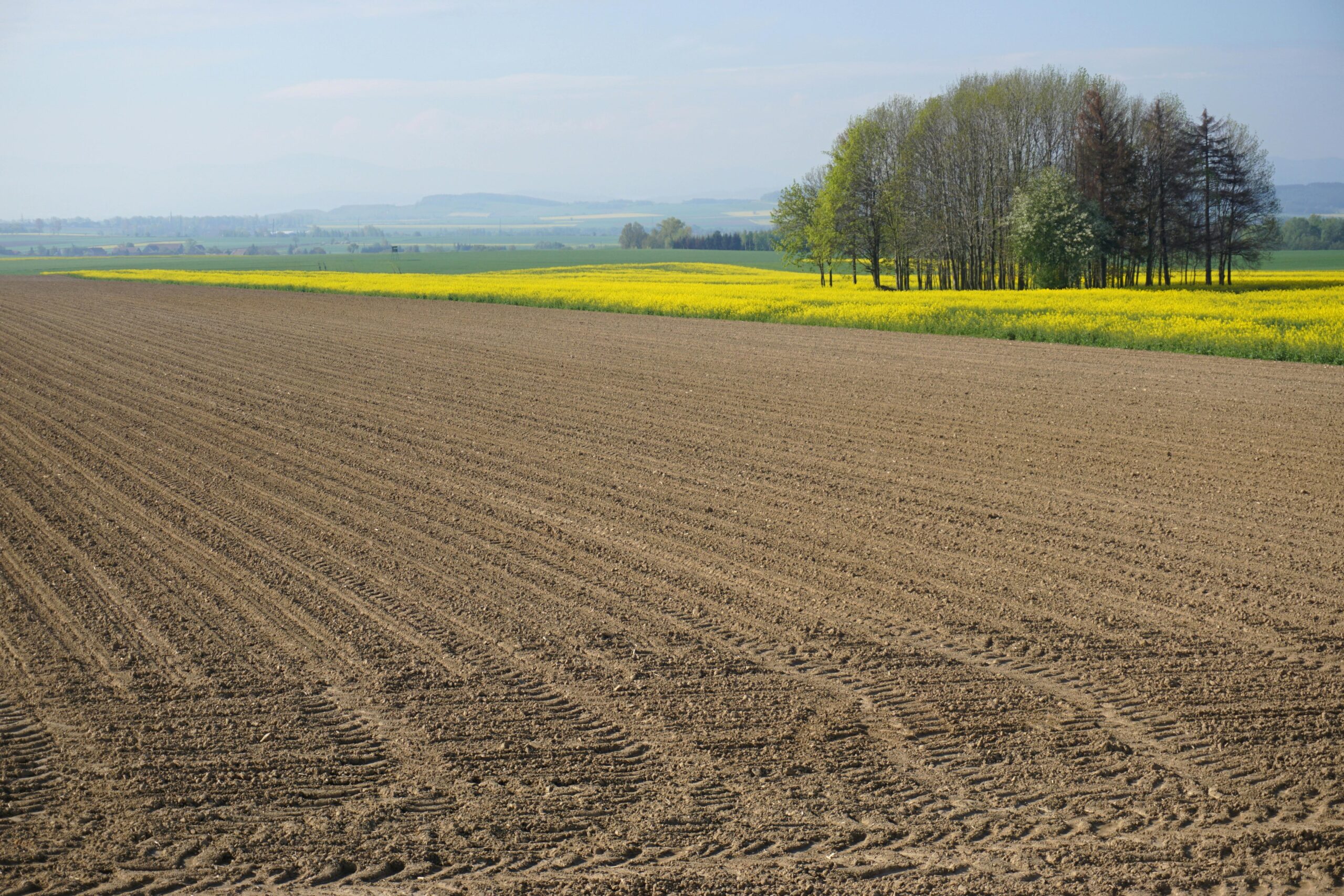 Kostenloses Stock Foto zu acker, ackerland, auÃŸerorts