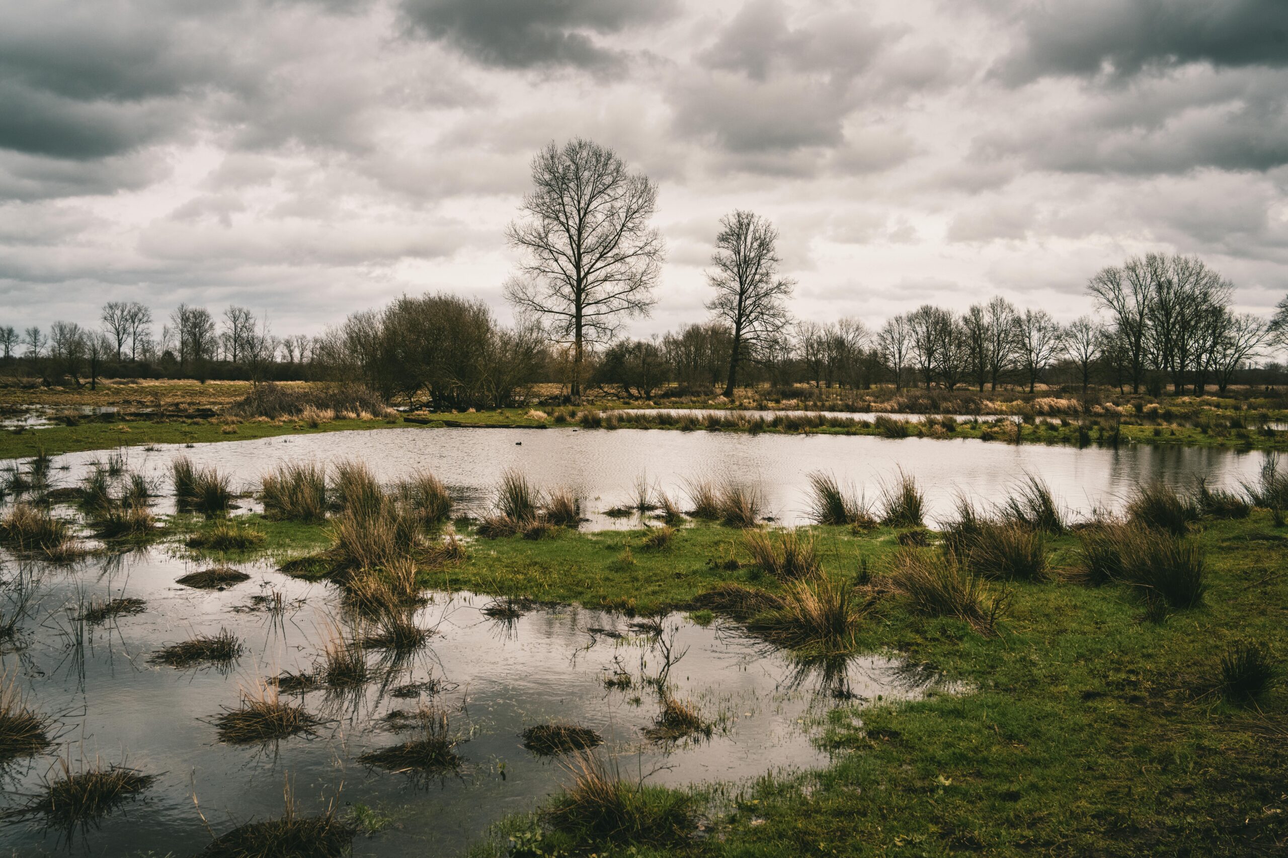 Kostenloses Stock Foto zu außerorts, bedeckt, belgien